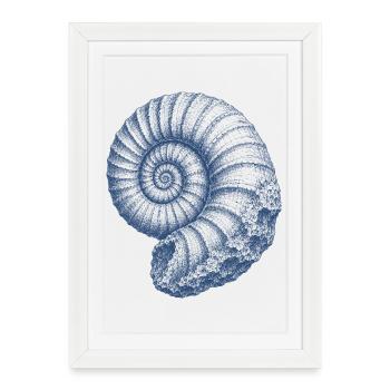 Ammonite Fossil Prehistoric Sea Vintage Art - Framed poster (27 × 37 cm) - white - Front