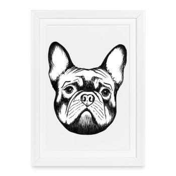 Bouledogue français mignon - Affiche encadrée (27 × 37 cm) - blanc - Devant