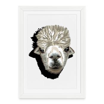 Alpaca funny llama head comic cartoon icon - Framed poster (27 × 37 cm) - white - Front