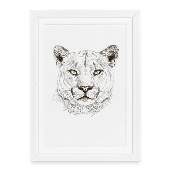 cougar - Affiche encadrée (27 × 37 cm) - blanc - Devant