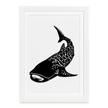 Requin-baleine 2 - Affiche encadrée (27 × 37 cm) - blanc - Devant