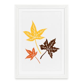 Les feuilles d'automne. Érable, été indien. Canada - Affiche encadrée (27 × 37 cm) - blanc - Devant