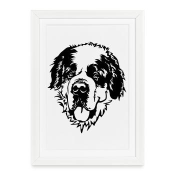 Tête de Saint-Bernard - Affiche encadrée (27 × 37 cm) - blanc - Devant