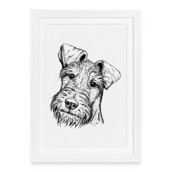 Irish Terrier Portrait - Affiche encadrée (27 × 37 cm) - blanc - Devant