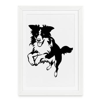 Border Collie - Affiche encadrée (27 × 37 cm) - blanc - Devant