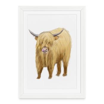Art de la vache des Highlands - Affiche encadrée (27 × 37 cm) - blanc - Devant