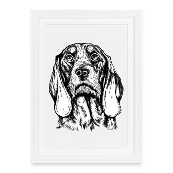 Portrait de chien suisse - Affiche encadrée (27 × 37 cm) - blanc - Devant