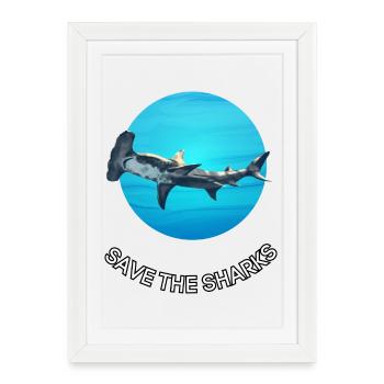Motif du cercle protégé par les requins - Affiche encadrée (27 × 37 cm) - blanc - Devant