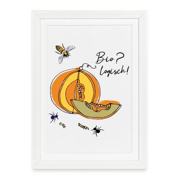 Biologiste, Citrouille, Fourmis - Affiche encadrée (27 × 37 cm) - blanc - Devant