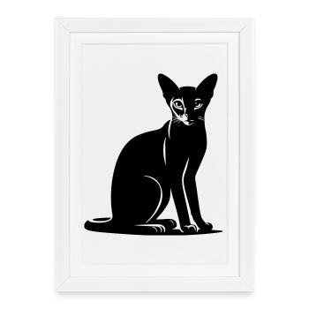 Chat abyssin - Affiche encadrée (27 × 37 cm) - blanc - Devant
