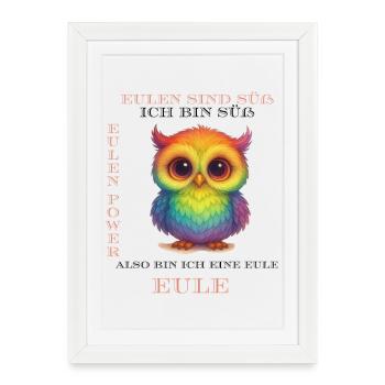 Rainbow Owls Power - Framed poster (27 × 37 cm) - white - Front