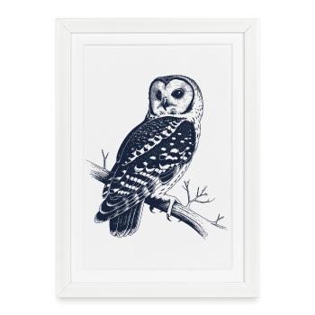 Chouette vintage sur la branche | Motif de la Forêt Mystique - Affiche encadrée (27 × 37 cm) - blanc - Devant