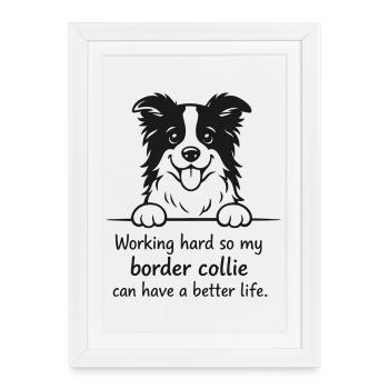 Mon border collie peut avoir une vie meilleure - Affiche encadrée (27 × 37 cm) - blanc - Devant
