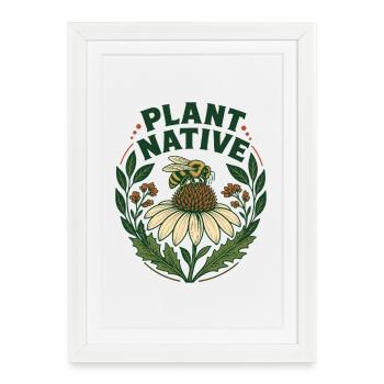 Plantez un jardin indigène des abeilles et des échinaces - Affiche encadrée (27 × 37 cm) - blanc - Devant