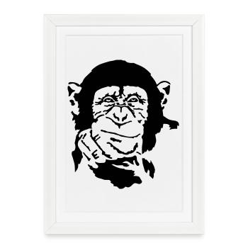 singe - Affiche encadrée (27 × 37 cm) - blanc - Devant
