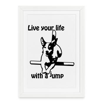 Agility Jack Russel Terrier - Affiche encadrée (27 × 37 cm) - blanc - Devant