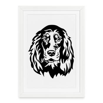 Gordon Setter Kopf - Affiche encadrée (27 × 37 cm) - blanc - Devant