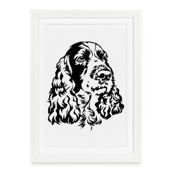 Springer anglais Tête d’épagne - Affiche encadrée (27 × 37 cm) - blanc - Devant