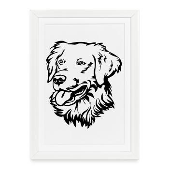 Golden Retriever Head - Framed poster (27 × 37 cm) - white - Front