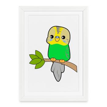 Budgerigar Parrot - Framed poster (27 × 37 cm) - white - Front
