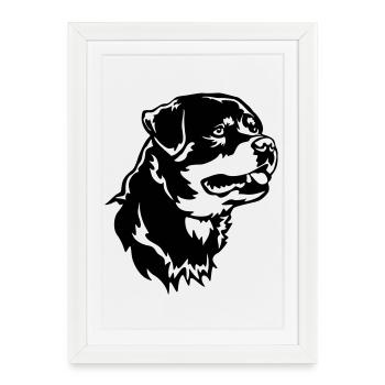 Tête de Rottweiler - Affiche encadrée (27 × 37 cm) - blanc - Devant