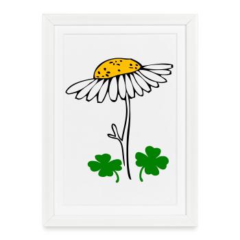 Trèfle porte-bonheur, fleur de camomille - Affiche encadrée (27 × 37 cm) - blanc - Devant