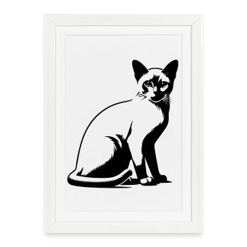 Chat birman - Affiche encadrée (27 × 37 cm) - blanc - Devant