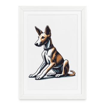 Podengo Português - Affiche encadrée (27 × 37 cm) - blanc - Devant