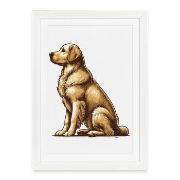 Golden retriever - Affiche encadrée (27 × 37 cm) - blanc - Devant