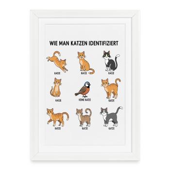 Cat Identification Guide - Framed poster (27 × 37 cm) - white - Front