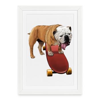 Bouledogue joueur sur skateboard - Affiche encadrée (27 × 37 cm) - blanc - Devant