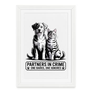 Duo chien et chat - Affiche encadrée (27 × 37 cm) - blanc - Devant