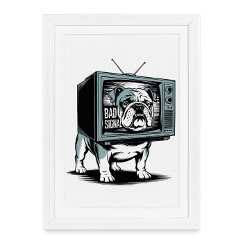 Drôle de bouledogue mauvais signal - Affiche encadrée (27 × 37 cm) - blanc - Devant