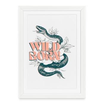 Illustration de serpent et de plante né à l’état sauvage - Affiche encadrée (27 × 37 cm) - blanc - Devant