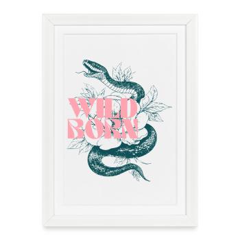 Serpent né à l’état sauvage et motif de feuille - Affiche encadrée (27 × 37 cm) - blanc - Devant