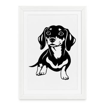 teckel - Affiche encadrée (27 × 37 cm) - blanc - Devant