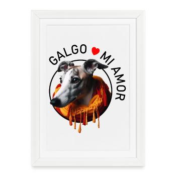 Galgo dans une écharpe chaude - Affiche encadrée (27 × 37 cm) - blanc - Devant