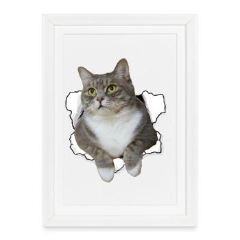 Cute cat peeking out of hole - Funny cat design - Framed poster (27 × 37 cm) - white - Front