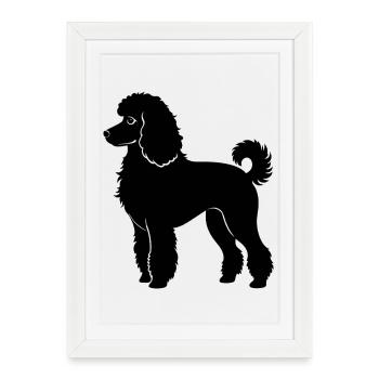 Chien caniche - Affiche encadrée (27 × 37 cm) - blanc - Devant
