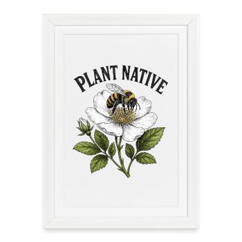 Plantez un jardin indigène des abeilles et des échinaces - Affiche encadrée (27 × 37 cm) - blanc - Devant