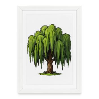 Graphique du Saule Pleureur - Affiche encadrée (27 × 37 cm) - blanc - Devant