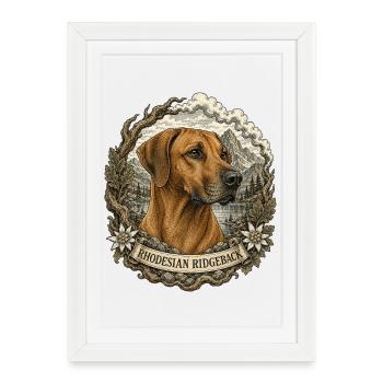 Rhodesian Ridgeback dans le style vintage - Affiche encadrée (27 × 37 cm) - blanc - Devant