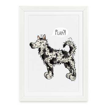 Mudi Play - Chien - Chiens - Cadeau - Affiche encadrée (27 × 37 cm) - blanc - Devant