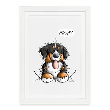 Heureux Bouvier Bernois - Chiens - Cadeau - Affiche encadrée (27 × 37 cm) - blanc - Devant