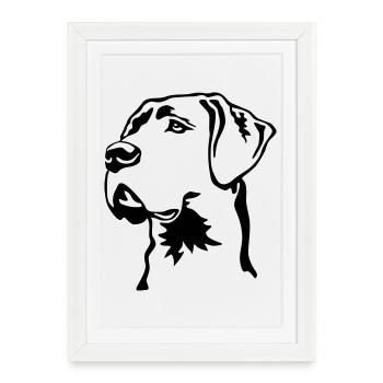 Tête de Dogue Allemand - Affiche encadrée (27 × 37 cm) - blanc - Devant