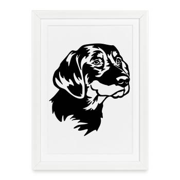 Tête de Slovensky Kopov - Affiche encadrée (27 × 37 cm) - blanc - Devant