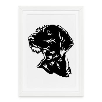 German Wirehaired Head - Framed poster (27 × 37 cm) - white - Front