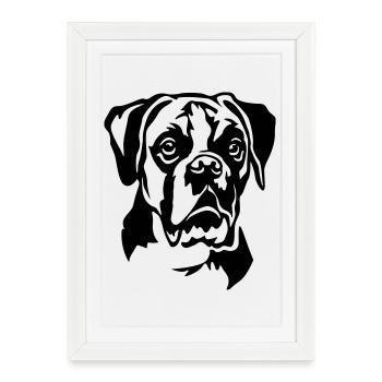 Tête de boxeur - Affiche encadrée (27 × 37 cm) - blanc - Devant