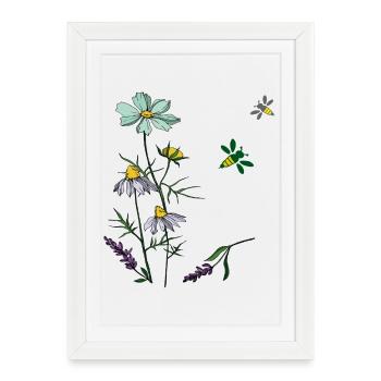 Herbes, camomille, abeilles - Affiche encadrée (27 × 37 cm) - blanc - Devant