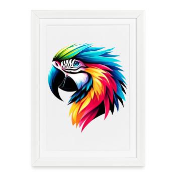 Perroquet - Affiche encadrée (27 × 37 cm) - blanc - Devant